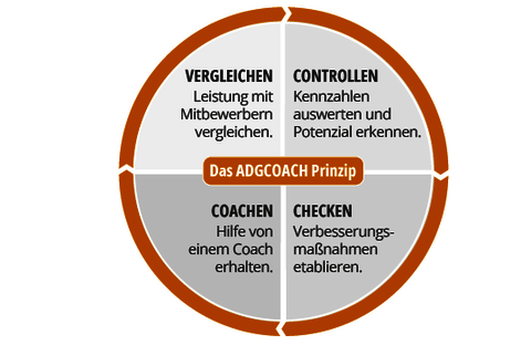 Kreis-Grafik mit Unterteilung in die Bereiche vergleichen, controllen, checken, coachen